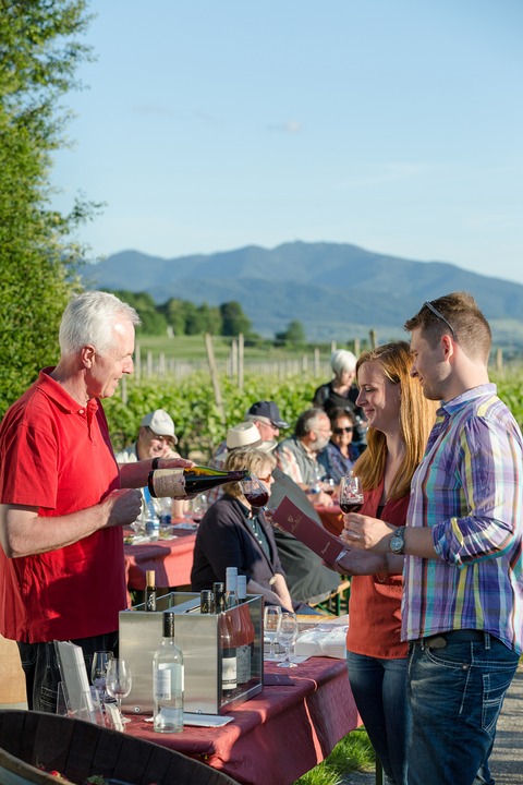 Kulinarische Weinwanderung auf dem Bad Krozinger Rebberg - Bad Krozingen - 04.10.2025 13:30