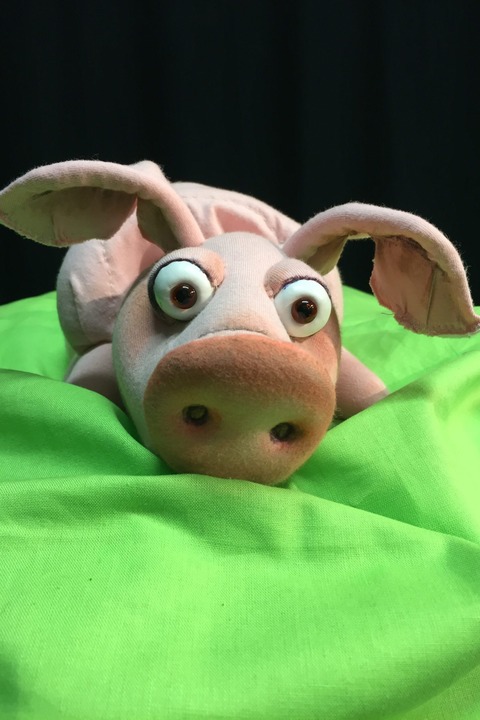 Piggeldy und Frederick (ab 5 Jahren) - Karlsruhe - 20.08.2025 10:00