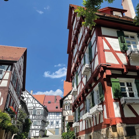 Sommerliche Genusstour - Sindelfingen - 17.08.2025 11:00