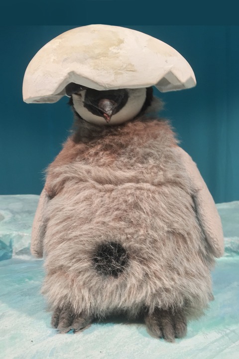 marotte im Waldzentrum: Pit Pinguin (ab 3 Jahren) - Karlsruhe - 31.08.2025 14:00