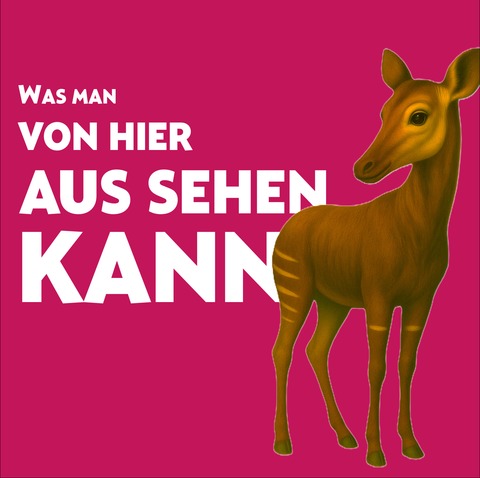 Was man von hier aus sehen kann - Wiesbaden - 29.11.2025 19:30