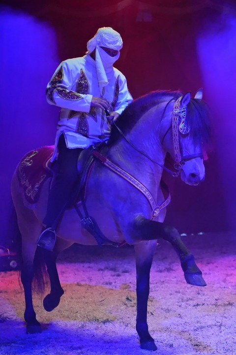 Circustrume - Circustrume - Jossgrund - Pfaffenhausen - 20.06.2025 16:00
