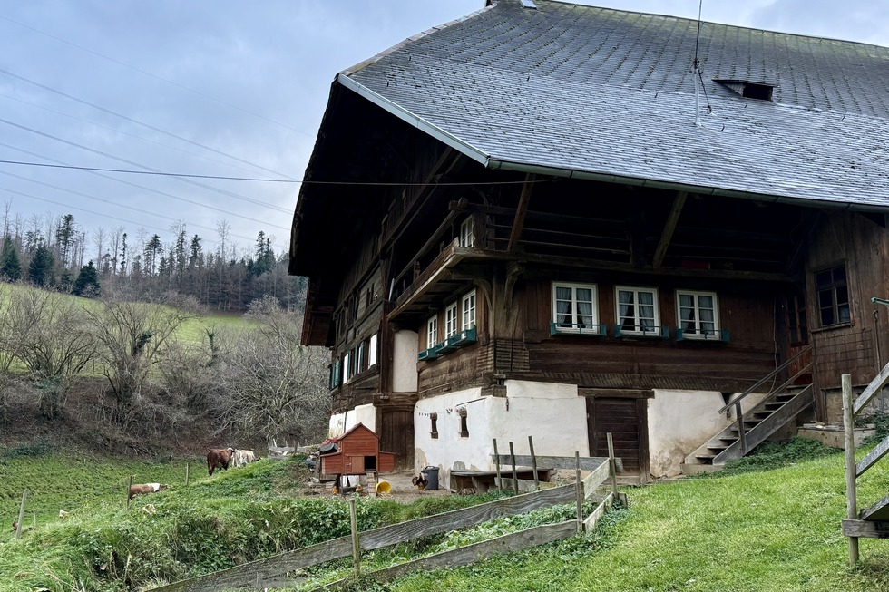 Hinterbauernhof (Eschbach) - Stegen