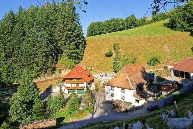 Steinmhlehof