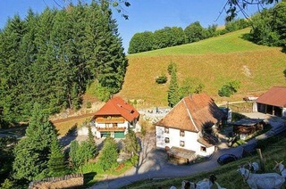 Steinmhlehof