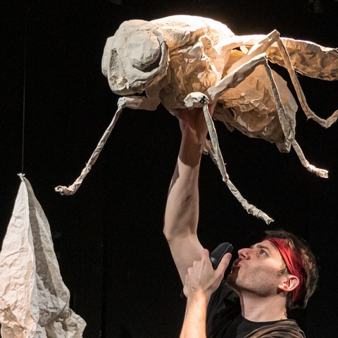 ver-rckt! | Schaubude (D) - WEITBLICK Festival 2025 - Braunschweig - 21.09.2025 11:00