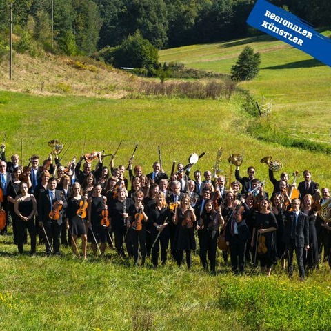 Neujahrskonzert - Sinfonieorchester des Landkreises Kaiserslautern - Ramstein-Miesenbach - 18.01.2026 17:00