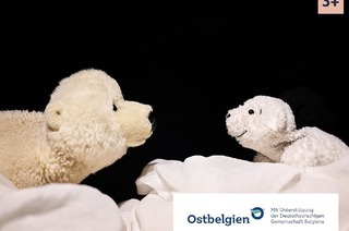 Kleiner Eisbr, wohin fhrst du?