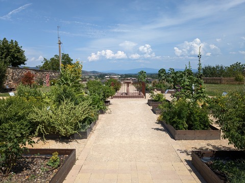 10 Jahre Klostergarten - Breisach - 01.06.2025 11:00