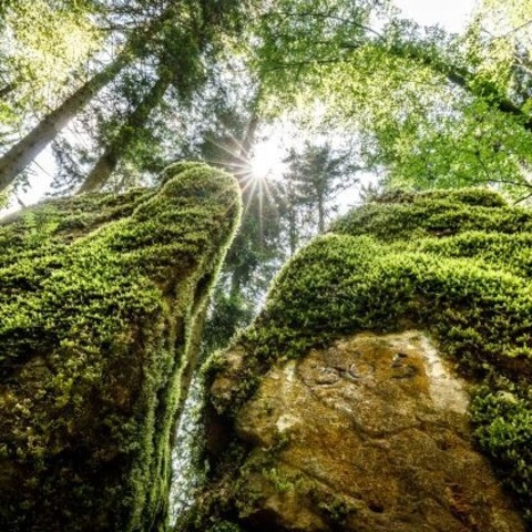 Kraftortbegehung - Ruhpolding - 10.06.2025 10:00
