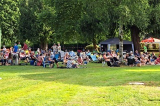 Festivalticket: Musik & PIcknick am Pool