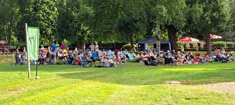 Festivalticket: Musik & PIcknick am Pool - Steinen - 01.08.2025 19:00