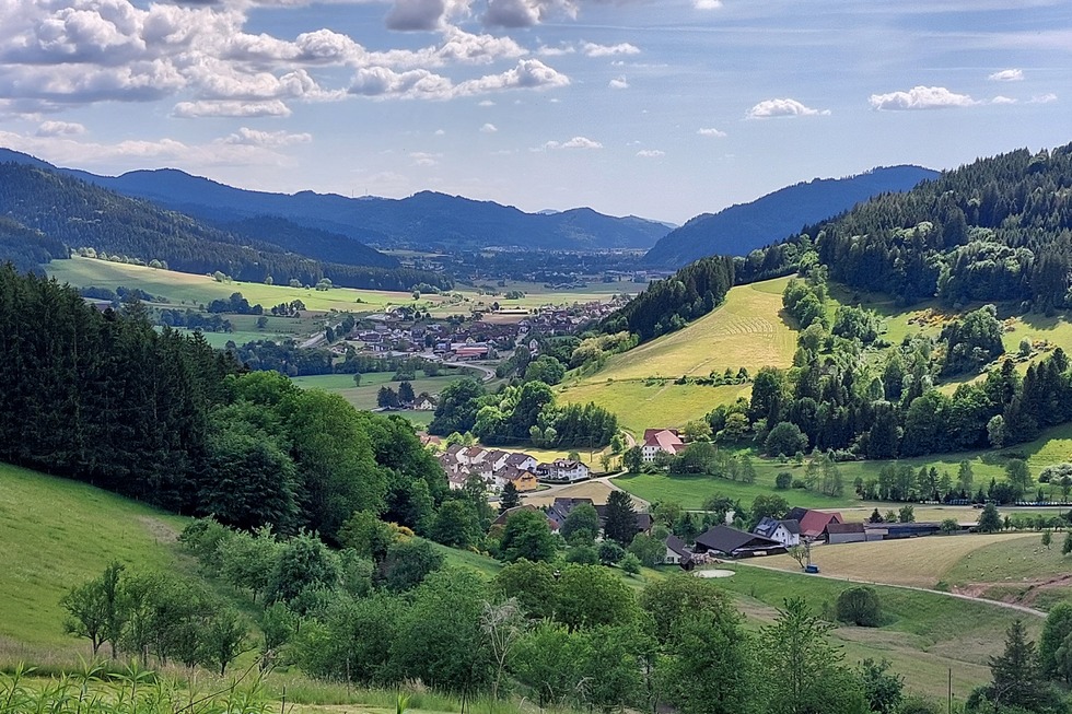 Panoramaweg Katzenmoos - Elzach