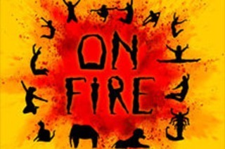 Moving Shadows - Stellt alles in den Schatten! "On Fire!"