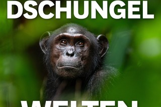 MUNDOLOGIA: Dschungelwelten, 01.02.2026
