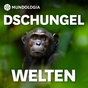 MUNDOLOGIA: Dschungelwelten