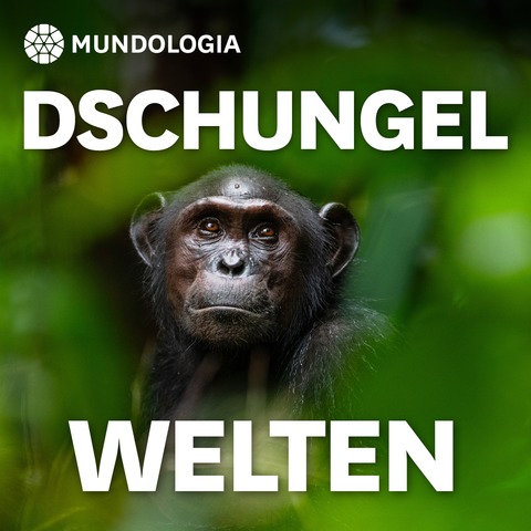 MUNDOLOGIA: Dschungelwelten - Freiburg - 01.02.2026 10:30