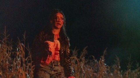 Clown in a Cornfield - Freiburg - 30.05.2025 20:20