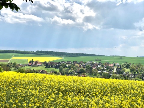 Auf Spurensuche in Nienstedt - Bad Mnder am Deister - OT Nienstedt - 07.09.2025 15:00