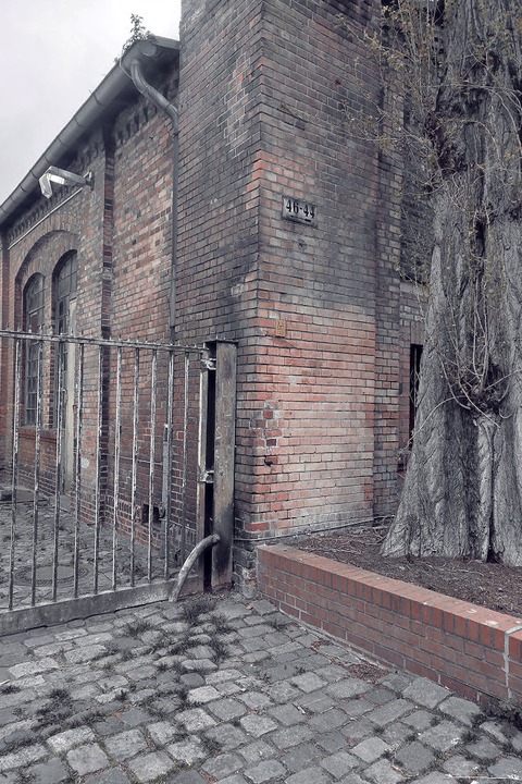 19. Oldenburger Kriminacht - Blutspur & Schatten - True Crime-Lesung - Oldenburg - 15.07.2025 21:00