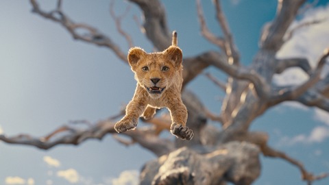 MUFASA: DER KNIG DER LWEN - Open-Air-Kino - Oldenburg - 17.07.2025 22:00