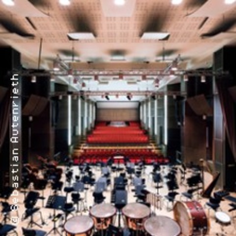 The Black Pirate - Stummfilm mit Live-Orchester - NRNBERG - 01.02.2026 16:30