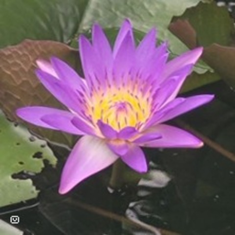 Workshop: Yoga im Alltag - Weinstadt - 05.07.2025 09:00