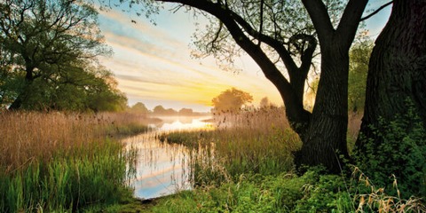 Groe Gartenreich-Radtour - Groe Gartenreich-Radtour - Dessau - 19.07.2025 10:00