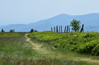 Grand Ventron