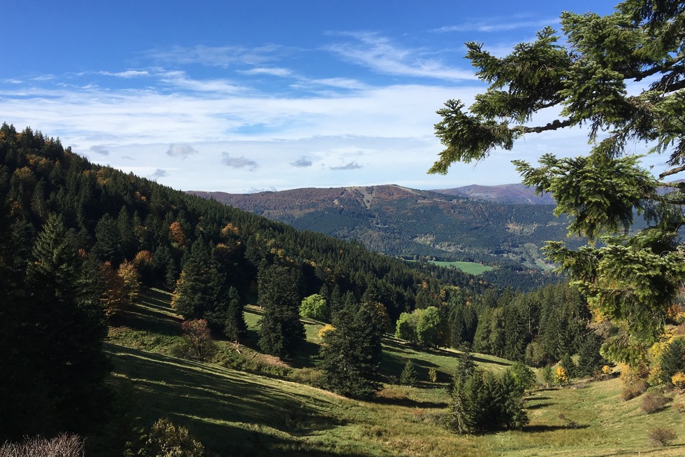 Petit Ballon (Kahler Wasen) - Luttenbach-prs-Munster