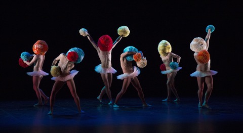 Tutu Chicos Mambo - Offenburg - 01.02.2026 19:00