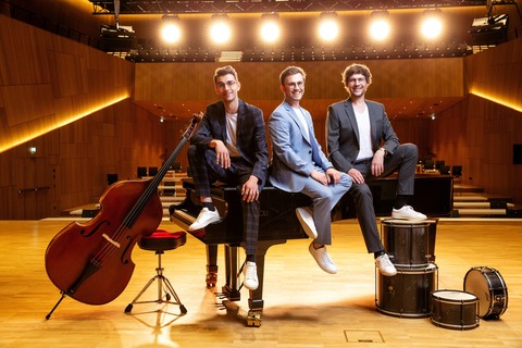 Oberrhein Konzertreihe - Wrttembergisches Kammerorchester & Frank Dupree Trio - Offenburg - 11.04.2026 20:00