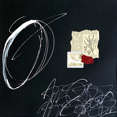SchriftBild - Freiburg - 06.06.2025 19:00