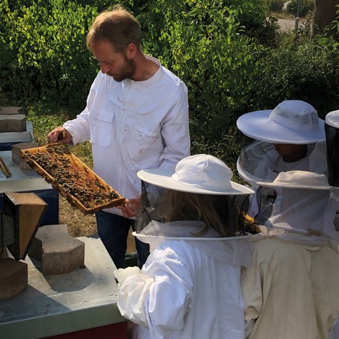 Stars for Kids: Natur und Umweltschutz - Was hat die Natur mit der Automobilproduktion zutun? - Rastatt - 22.08.2025 13:00