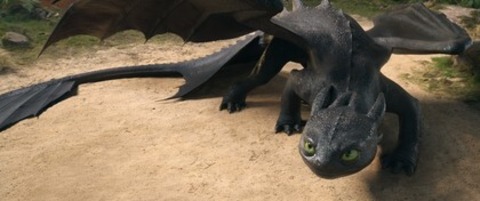 Drachenzhmen leicht gemacht - Freiburg - 09.06.2025 11:45