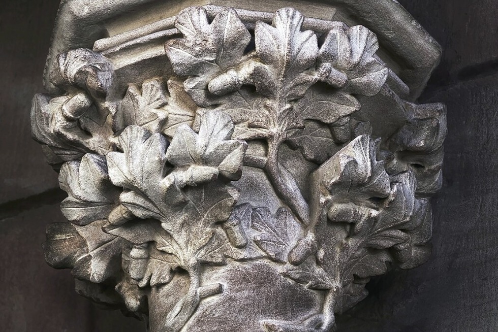 Die Ausstellung &#8222;Natur in Stein. Pflanzen in der gotischen Architektur&#8220; startet im Freiburger Bauhttenmuseum - Badische Zeitung TICKET