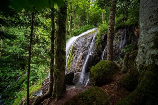 Cascade du Hohwald