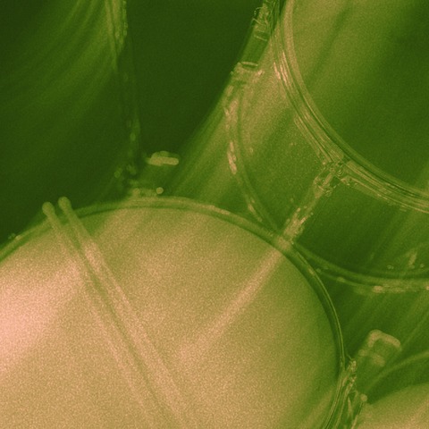 FLINTA* MUSIC LAB - DRUM WORKSHOP - Wiesbaden - 20.09.2025 12:00