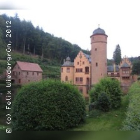 Das Wirtshaus im Spessart - BAD SODEN-SALM�NSTER - 29.08.2026 20:00