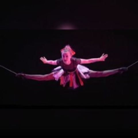 Bielefelder Wintercircus - Bielefeld - 29.12.2025 16:00
