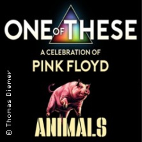 One Of These Pink Floyd Tributes - A Celebration of Pink Floyd - Animals-Tour - Frankfurt am Main - 30.01.2026 20:00