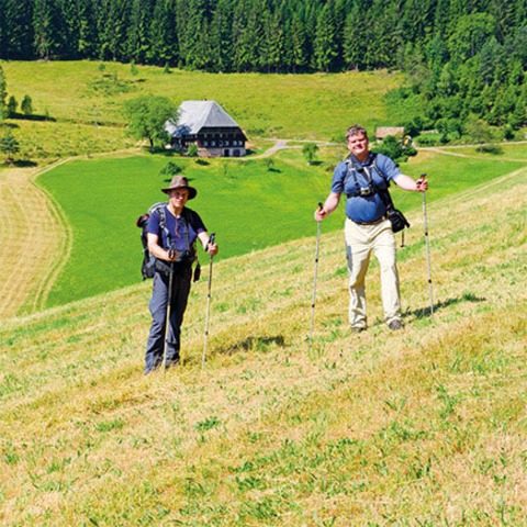 story VS: Schwarzwald - Direttissima wandern -  - 03.01.2026 15:00