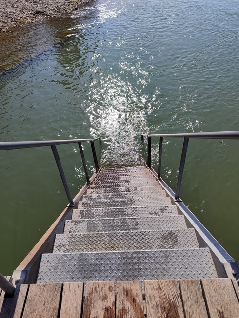 Rheinbad Breite - Basel