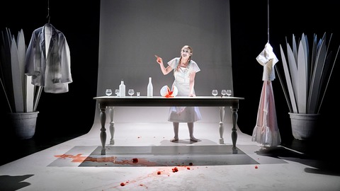 Frida - Viva la Vida - Ein Monolog ber Kunst, Schmerz und Leidenschaft - Wolfenbttel - 20.03.2026 19:30