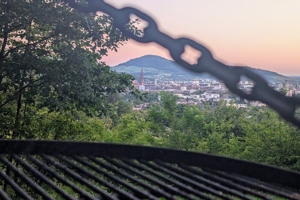 Grillstelle Kleine Wiese (Herdern) - Freiburg