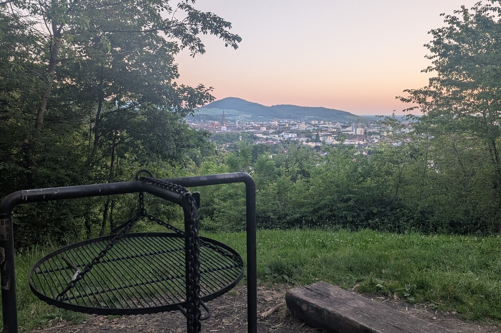 Grillstelle Kleine Wiese (Herdern) - Freiburg