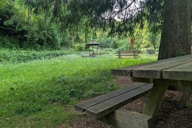 Grillplatz am Waldparkplatz