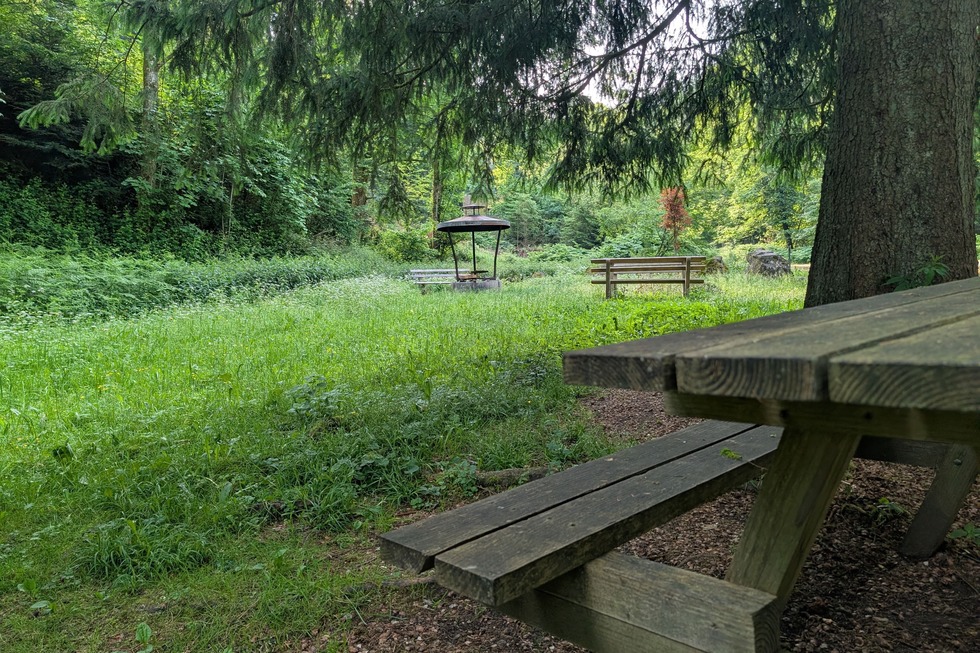 Grillplatz am Waldparkplatz - Sulzburg