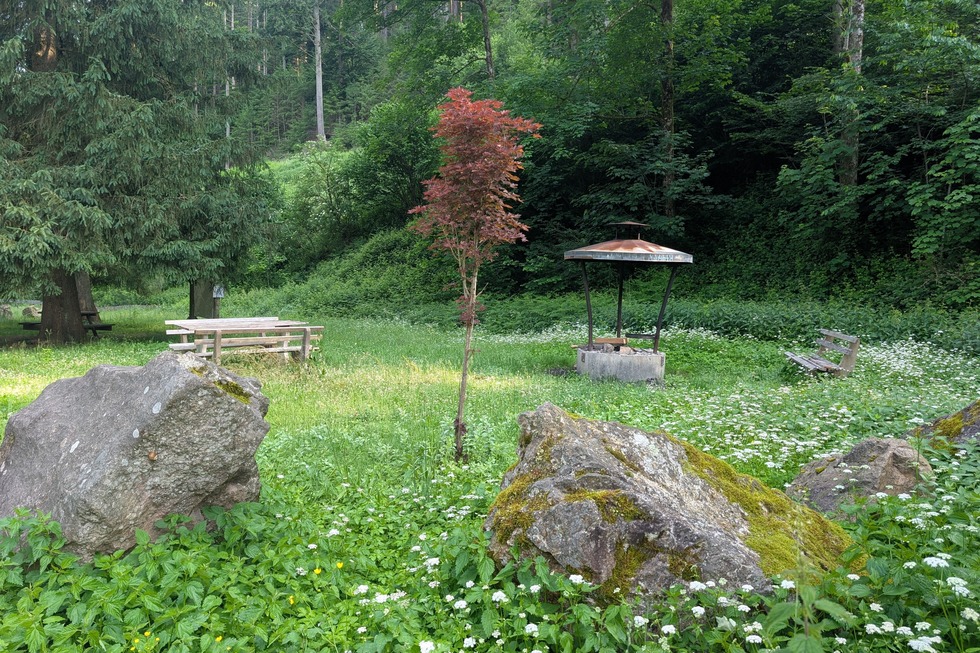 Grillplatz am Waldparkplatz - Sulzburg