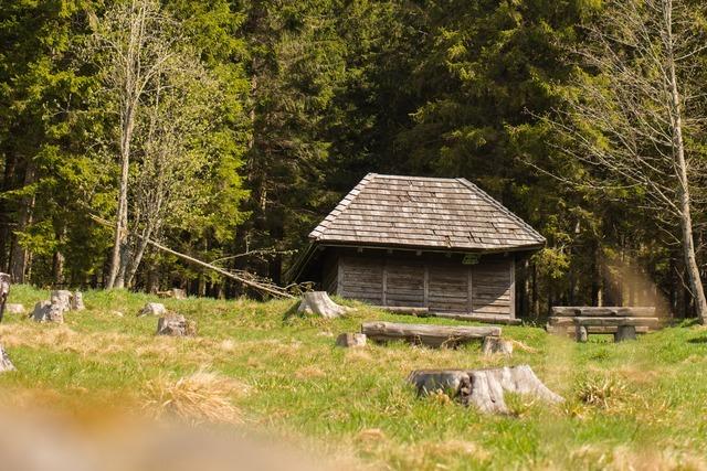 Grillplatz Schweinebhl (Todtnauberg)